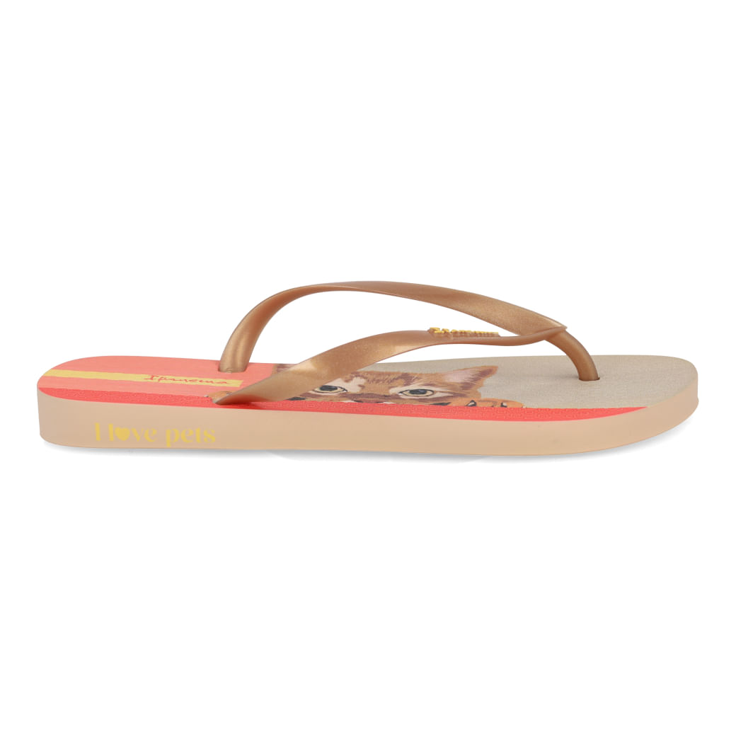 Grendene Chinelo 27005-BH198 Bege-Ouro-Rosa Borracha_2_999999992649917_01